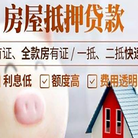 苍南贷款助贷公司新渝启服靠谱公司