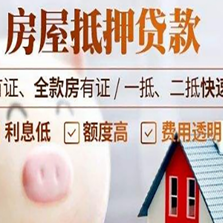 苍南贷款助贷公司新渝启服成立时间久